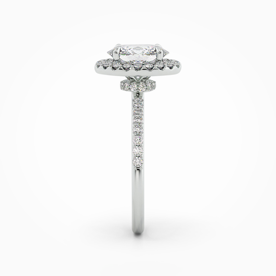 Wi Lucia Halo Round 00001 (1)