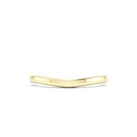 18k Yellow Gold