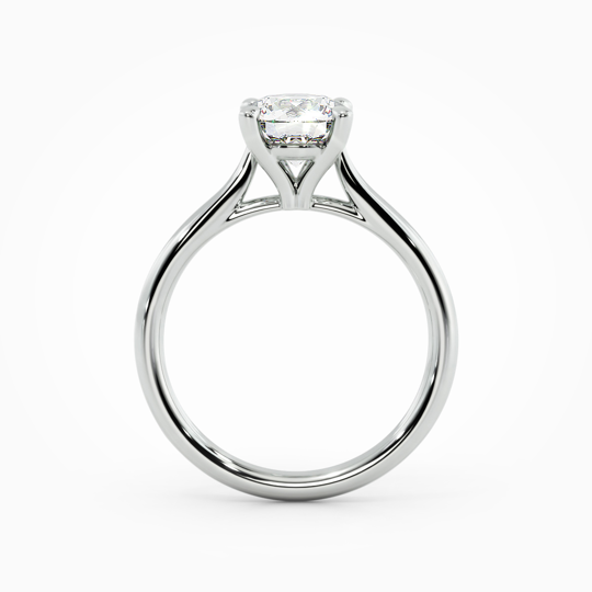 Wi Tulip Round 00000 (4)