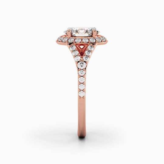 Havana R 00006 27 Rose
