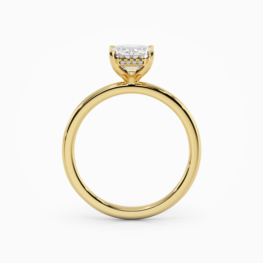 Xx Viva Radiant 00005 (1)