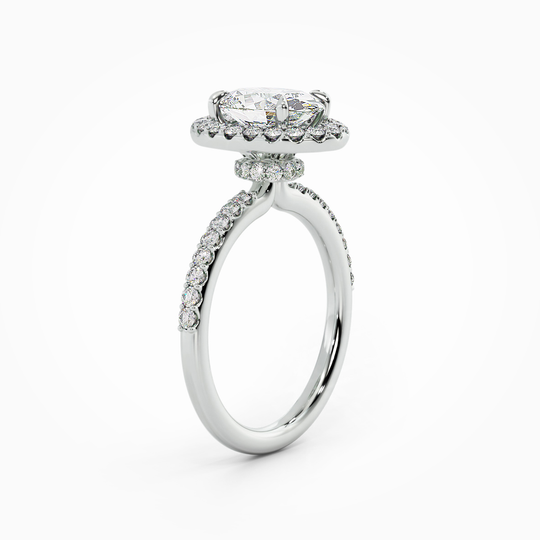 Wi Lucia Halo Round 00002 (1)