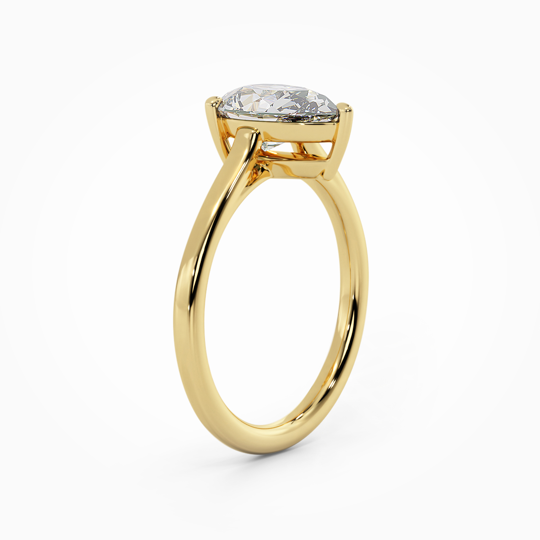 Wi Belle Pear 00007 (2)