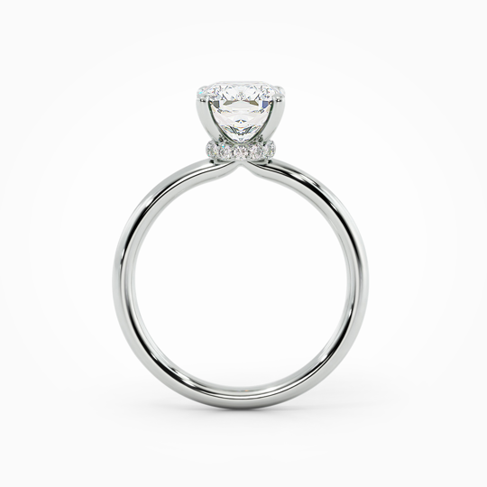 Wi Arabella Cushion 00000 (3)