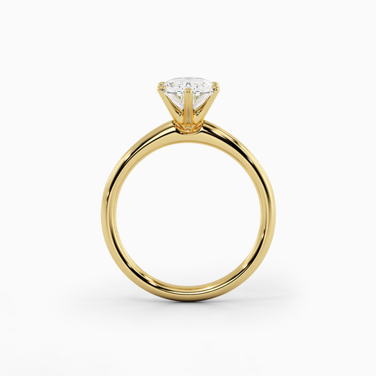 Wi Classic Oval 00005 (1)