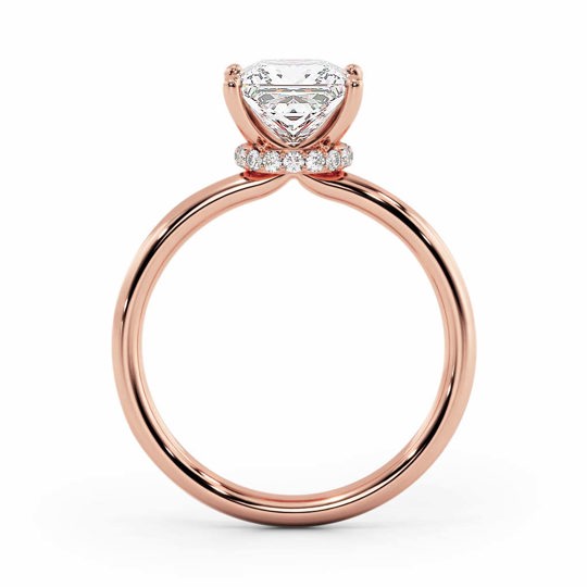 Wi Arabella Princess 00005 1