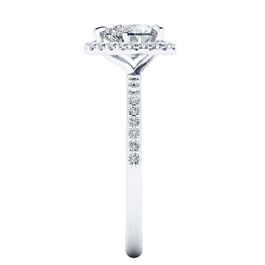 QUINTESS-9247.jpg