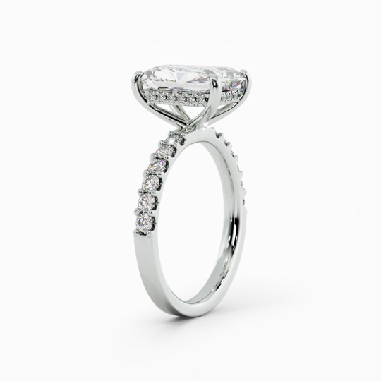 Talitha Radiant 00002 (3)