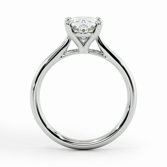 Wi Tulip Oval 00000