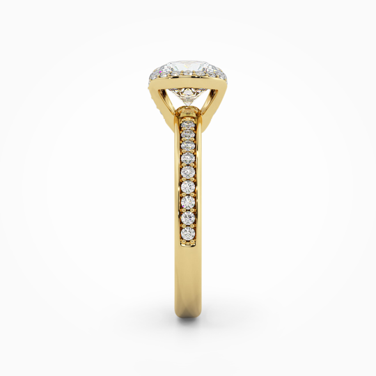 Wi Orion Round 00006 (1)