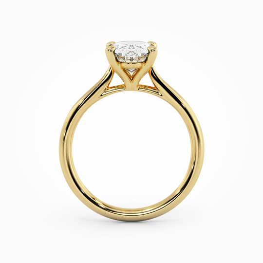 Wi Tulip Oval 00005 (2)