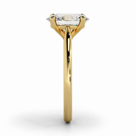 Wi Tulip Oval 00006