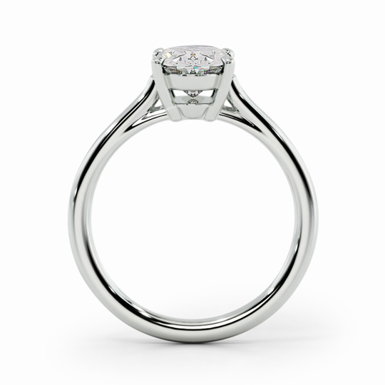 Wi Belle Oval 00000