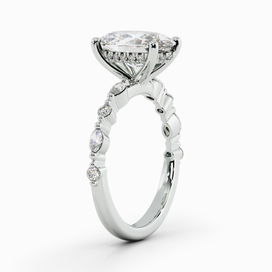 Taylor Oval 00002 (1)