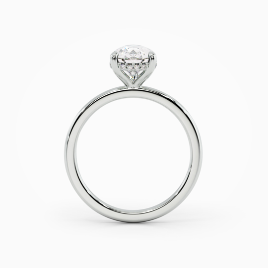 Xx Viva Pear 00000 (3)