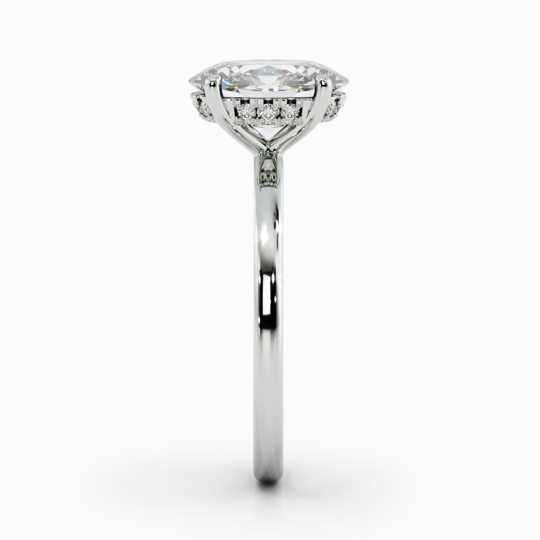 Xx Viva Oval 00001