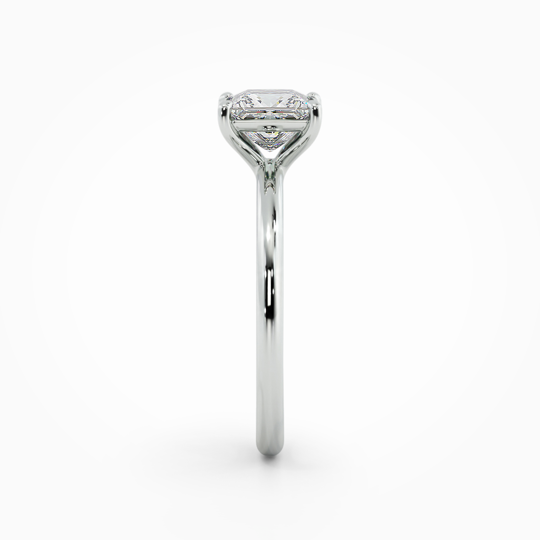 Wi Sorento Princess 00001 (3)