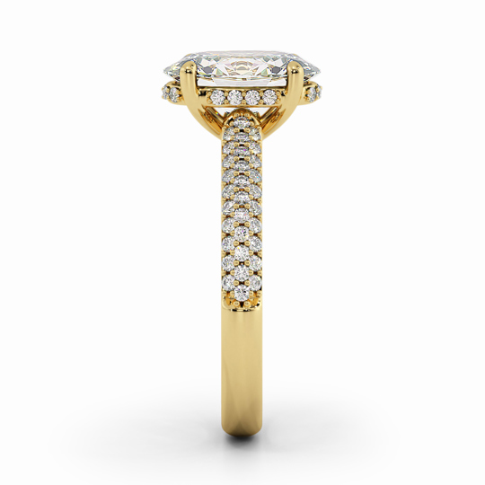 Wi Dior Oval 00006