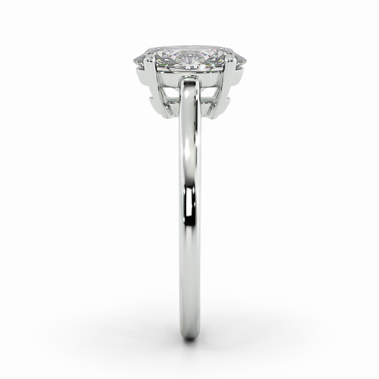 Wi Belle Oval 00001