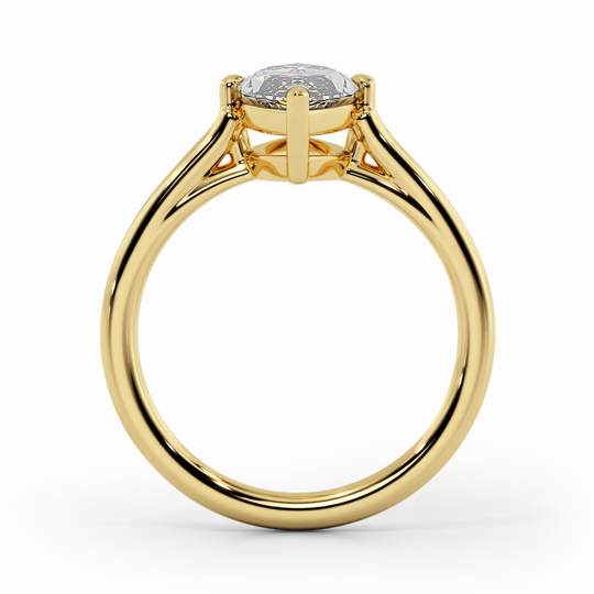 Wi Belle Marquise 00005