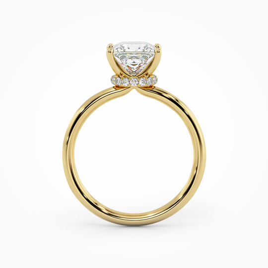 Wi Arabella Princess 00005 (2)