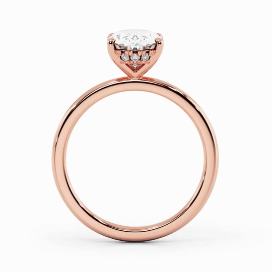 Xx Viva Oval 00005 1