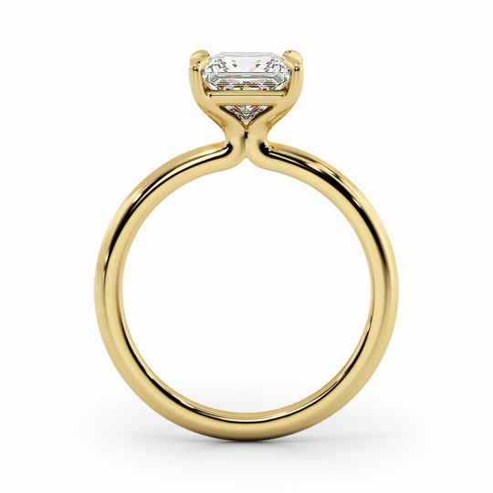Wi Valentine Plain Princess 00005