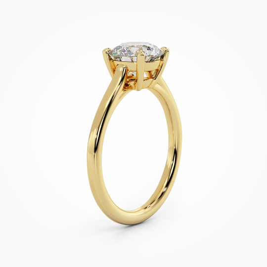 Wi Belle Round 00007 (2)