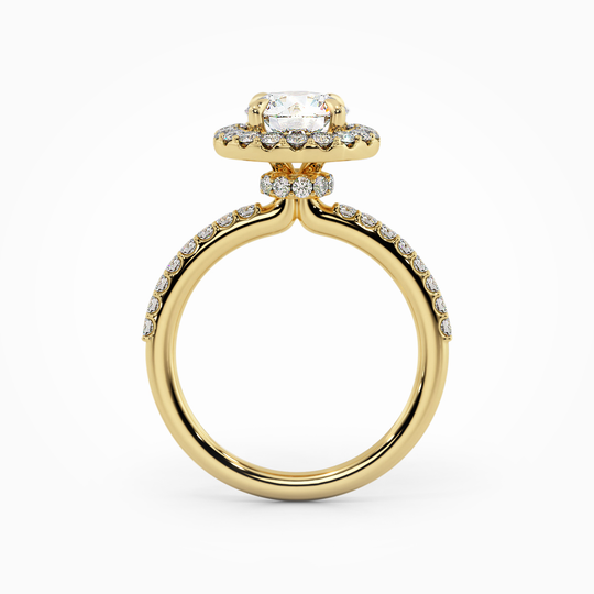Wi Lucia Halo Round 00005 4