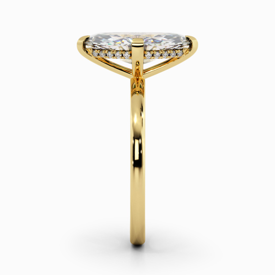 Xx Viva Marquise 00006