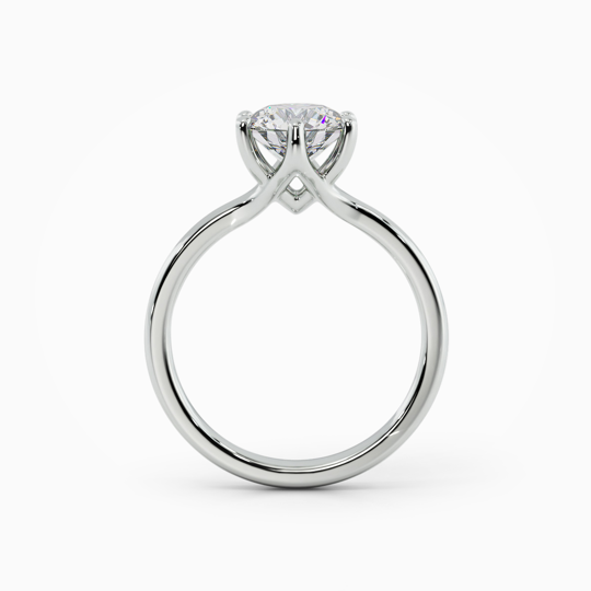 Cecilia Round 00000 (3)