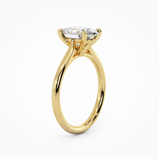 Wi Tulip Oval 00007 (2)