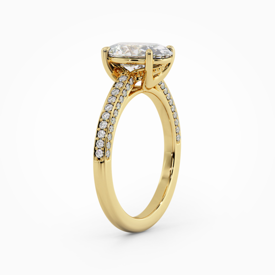 Wi Scintillance Oval 00007 (1)