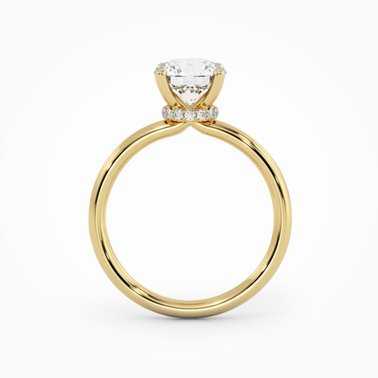 Wi Arabella Round 00005 (3)