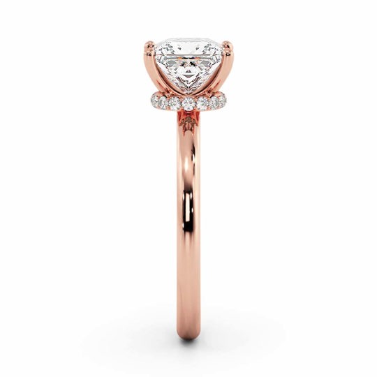 Wi Arabella Princess 00006 1
