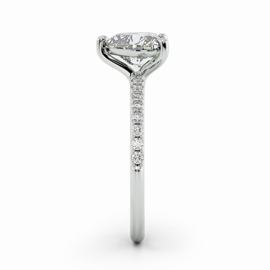 Wi Asteria Diamond Heart 00001 (1)