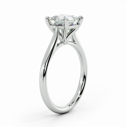 Wi Tulip Princess 00002
