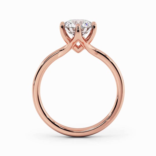 Cecilia Round 00005 1