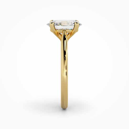 Wi Tulip Oval 00006 (2)