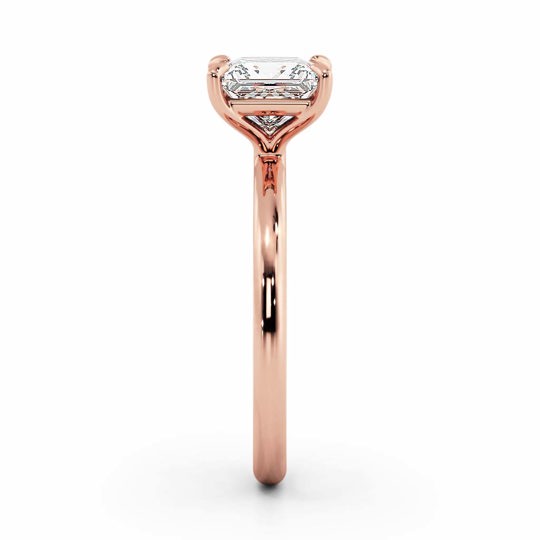 Wi Valentine Plain Princess 00006 (1)