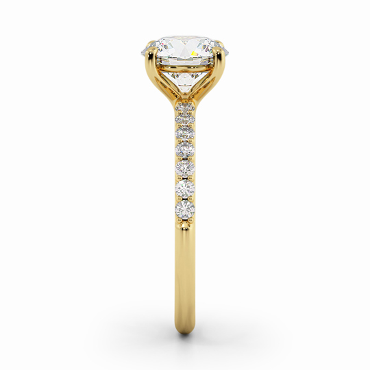 Wi Asteria Db Round 00006