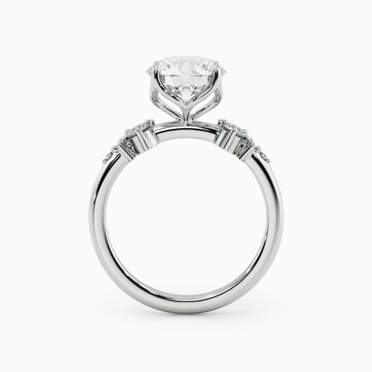 Savannah Petal Round 00000 (2)