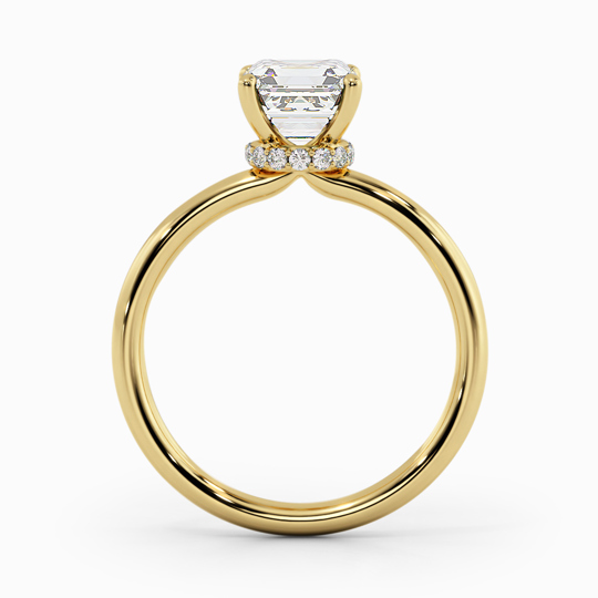 Wi Arabella Asscher 00005