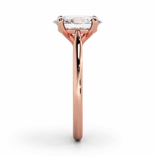Wi Tulip Oval 00006 1