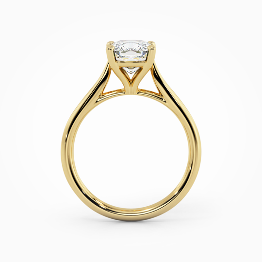 Wi Tulip Cushion 00005 (1)