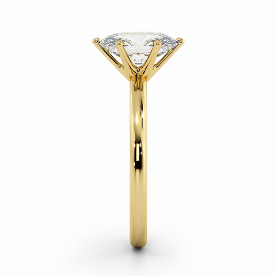 Wi Classic Oval 00006 (1)