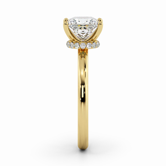 Wi Arabella Princess 00006