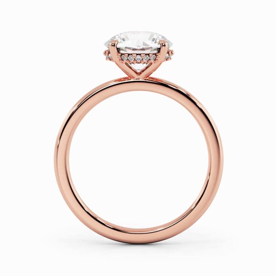 Xx Viva Round 00005 1