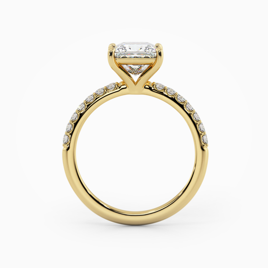 Wi Asteria Diamond Princess 00005 1 (1)