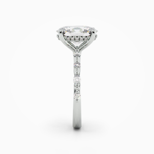 Taylor Oval 00001 (2)